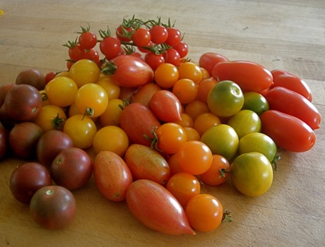 J & L heirloom cherry tomato collection special ...
