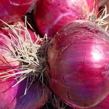 Shallot Long French Onion Seeds - Cena: €1.95