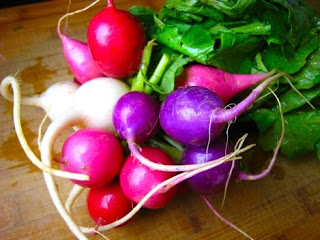 Easter Egg mixed Radish collection 1 gm seeds