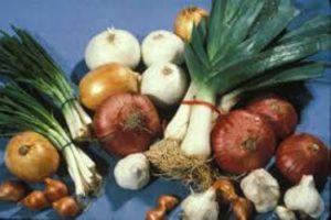 Jand L seeds onions ,, leeks and shallot seeds