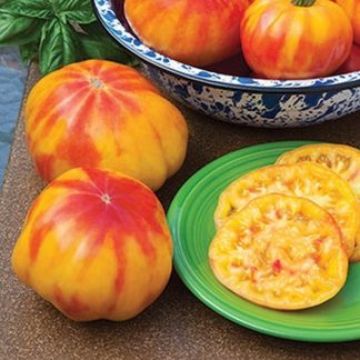 Ananas heirloom tomato seeds