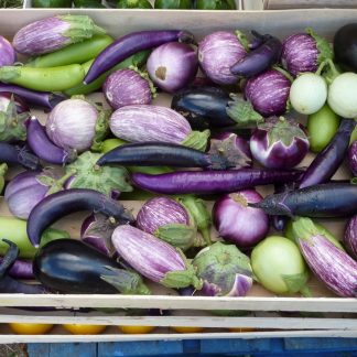Aubergines Eggplant