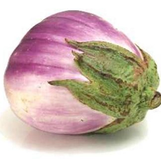 Rosa bianca aubergine eggplant seeds