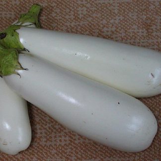 Casper white aubergine eggplant seeds