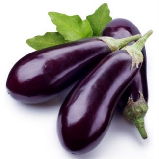 Violet de Toulouse aubergine eggplant seeds