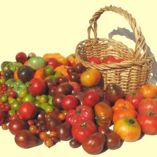 Tomatoes
