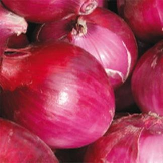 Karmen large red sweet onion