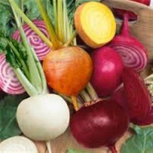 JandL heirloom beet root collection