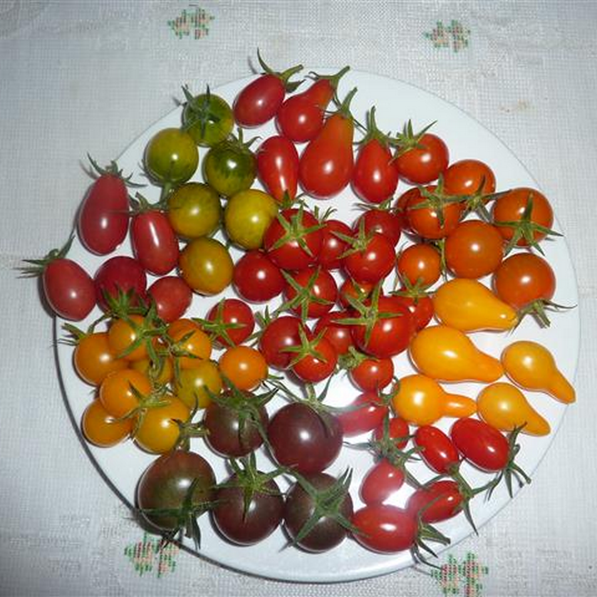 Cherry Tomatoes