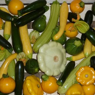 Courgettes