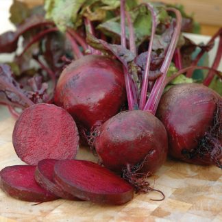 Boltardy round red beet root