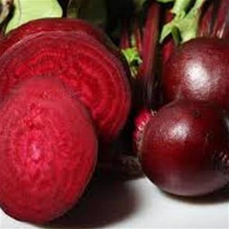 Early wonder beet root