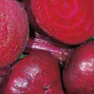 Detroit dark red beetroot