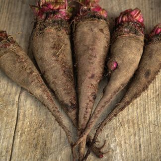 crapaudine beetroots