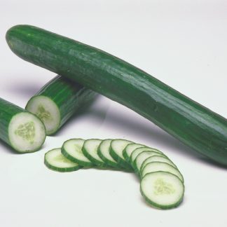 Perfection long cucumber seeds