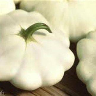 Custard white patty pan courgette squash