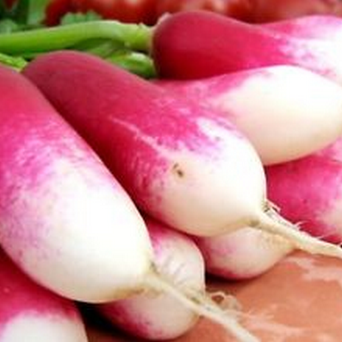 Flamboyant radish