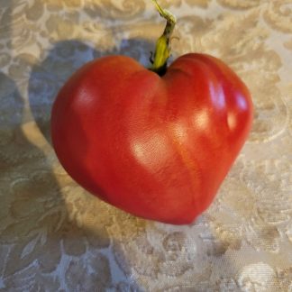 Coeur de Boeuf perfect heart shape red tomato